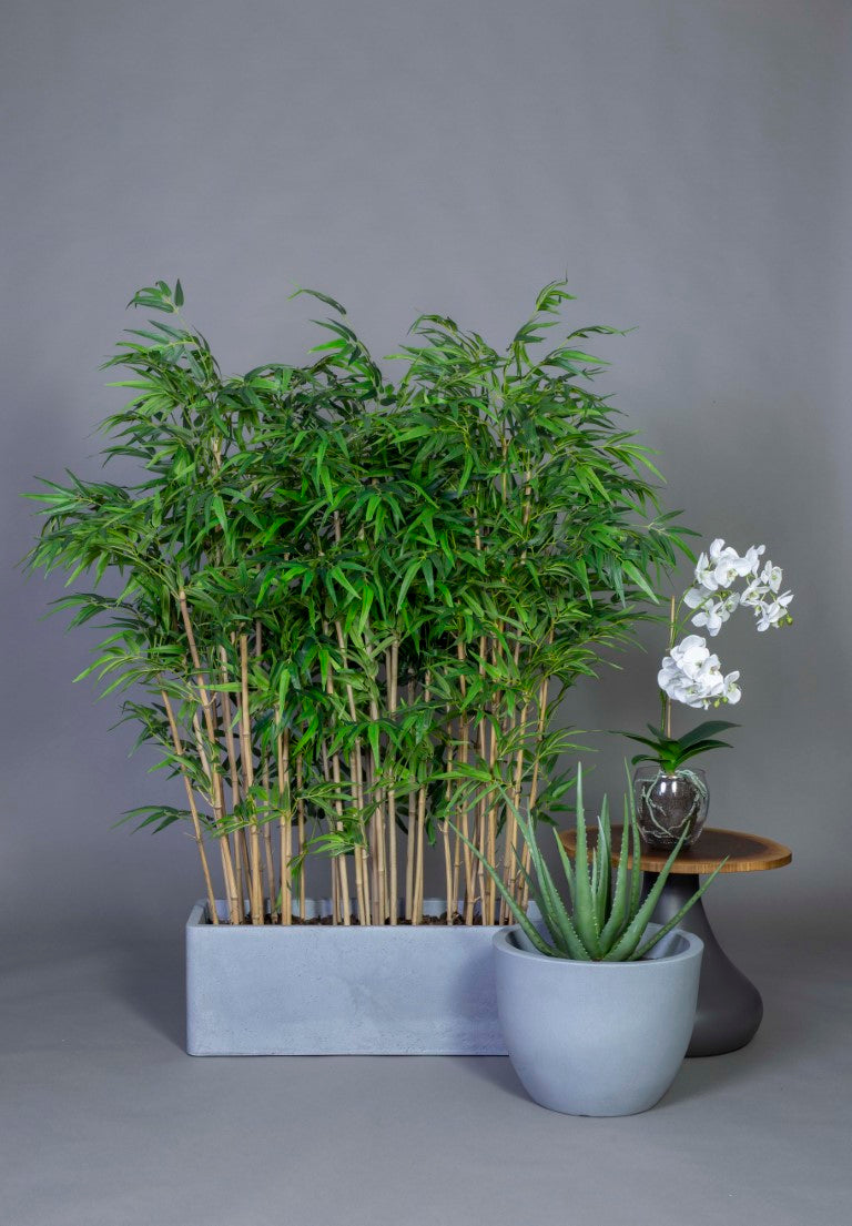bambu-1500